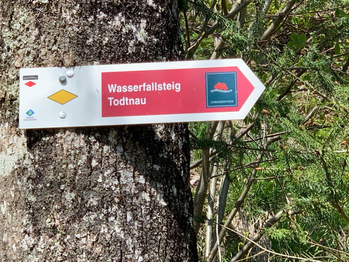 Haus Am Sonnenberg,Todtnauberg, Ferienwohnung 105, Direkt Am Skilift-Skipiste, Naehe Feldberg Bagian luar foto