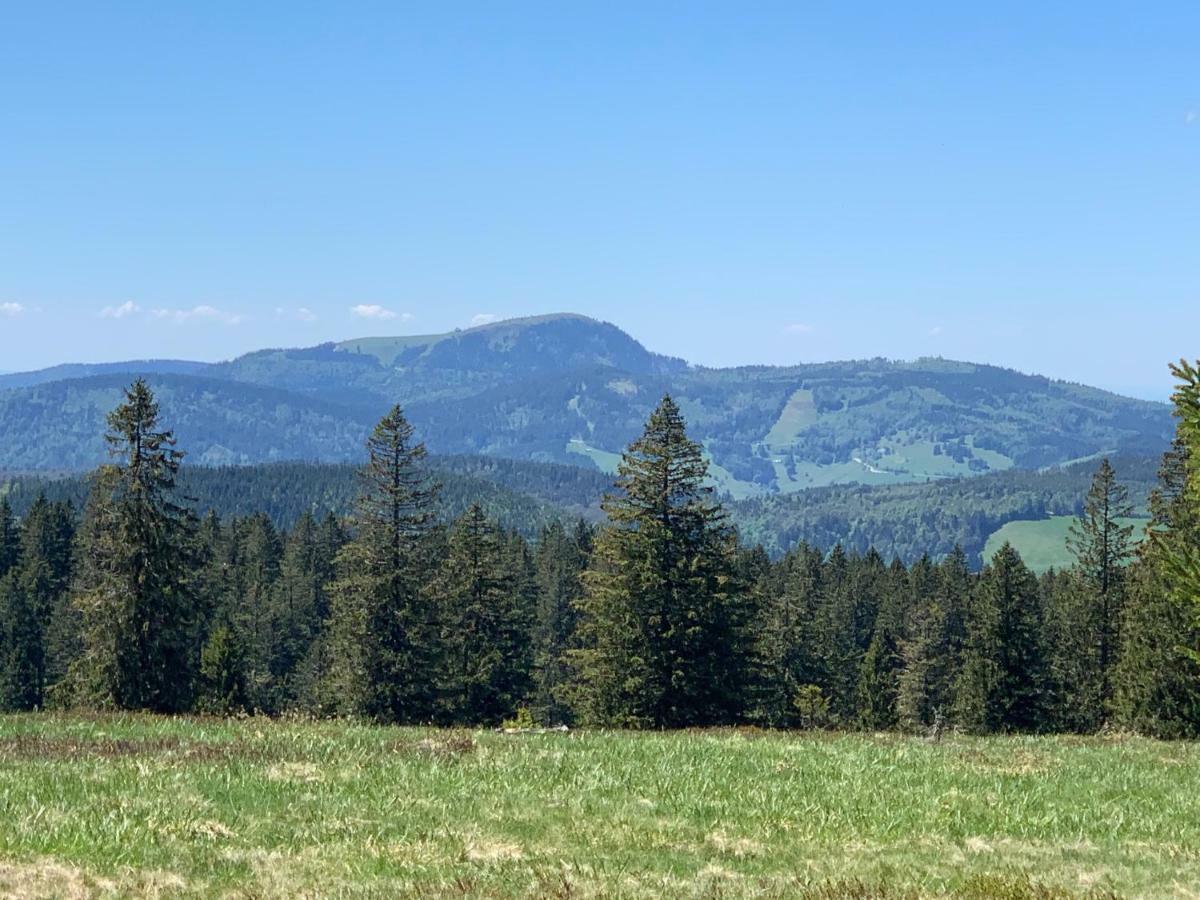 Haus Am Sonnenberg,Todtnauberg, Ferienwohnung 105, Direkt Am Skilift-Skipiste, Naehe Feldberg Bagian luar foto