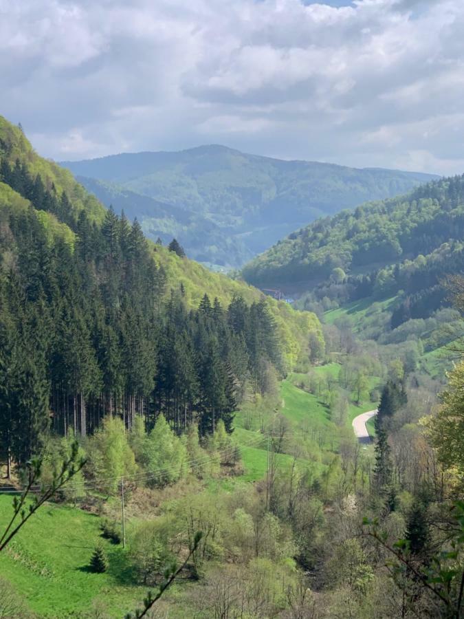 Haus Am Sonnenberg,Todtnauberg, Ferienwohnung 105, Direkt Am Skilift-Skipiste, Naehe Feldberg Bagian luar foto